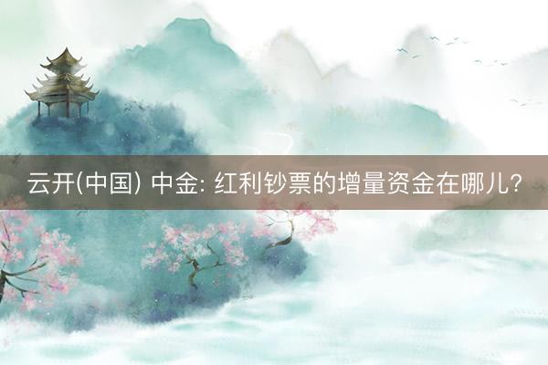 云开(中国) 中金: 红利钞票的增量资金在哪儿?