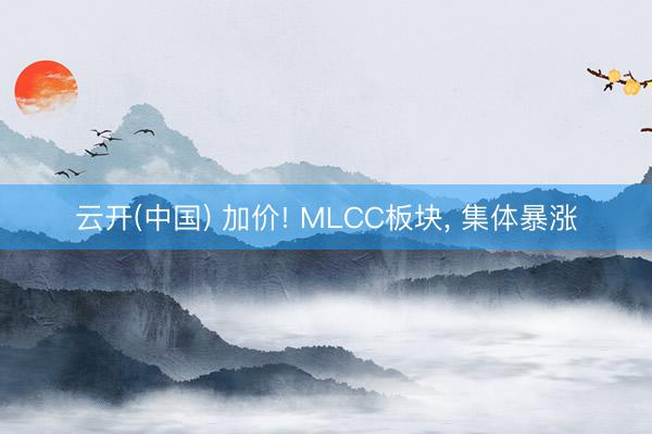 云开(中国) 加价! MLCC板块， 集体暴涨