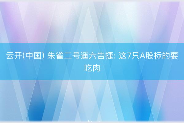 云开(中国) 朱雀二号遥六告捷: 这7只A股标的要吃肉