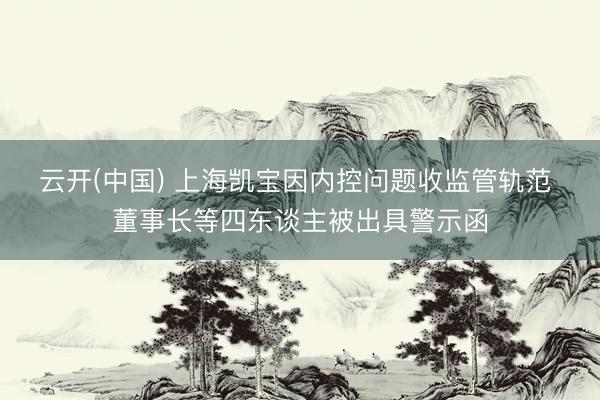 云开(中国) 上海凯宝因内控问题收监管轨范 董事长等四东谈主被出具警示函