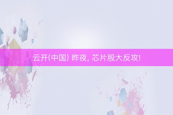 云开(中国) 昨夜， 芯片股大反攻!