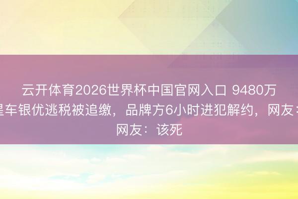 云开体育2026世界杯中国官网入口 9480万！韩星车银优逃税被追缴，品牌方6小时进犯解约，网友：该死