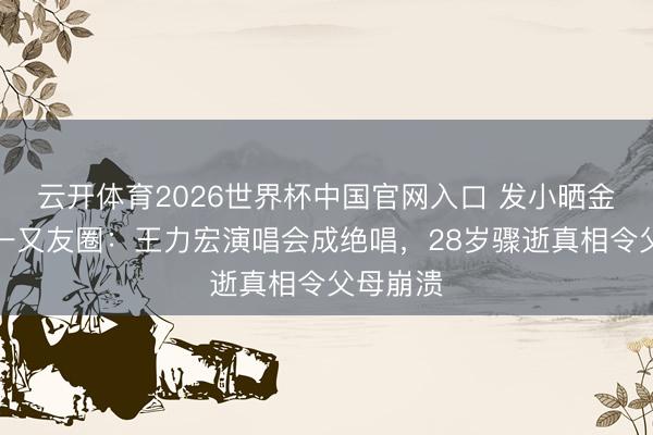 云开体育2026世界杯中国官网入口 发小晒金泽临了一又友圈：王力宏演唱会成绝唱，28岁骤逝真相令父母崩溃