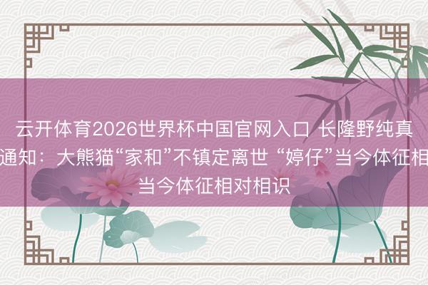 云开体育2026世界杯中国官网入口 长隆野纯真物天下通知：大熊猫“家和”不镇定离世 “婷仔”当今体征相对相识