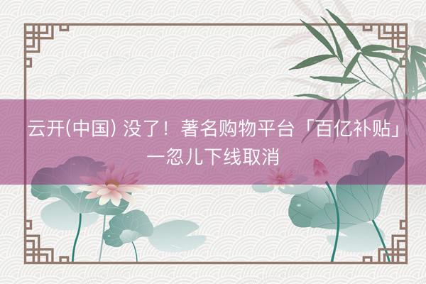 云开(中国) 没了！著名购物平台「百亿补贴」一忽儿下线取消
