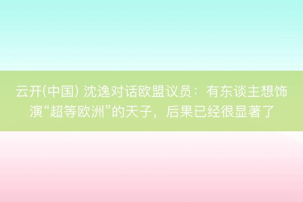 云开(中国) 沈逸对话欧盟议员：有东谈主想饰演“超等欧洲”的天子，后果已经很显著了